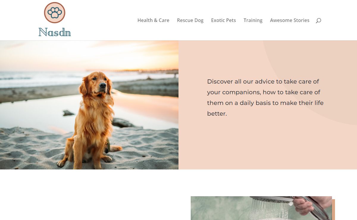 Taking care of your pet - Nasdn