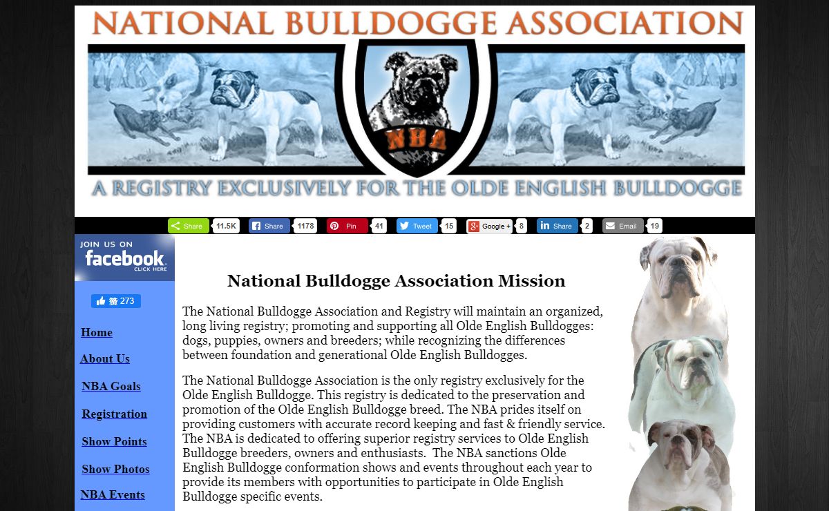 National Bulldogge Association (NBA) | Olde English Bulldogges | Bulldogge Breeders | Puppies For Sale