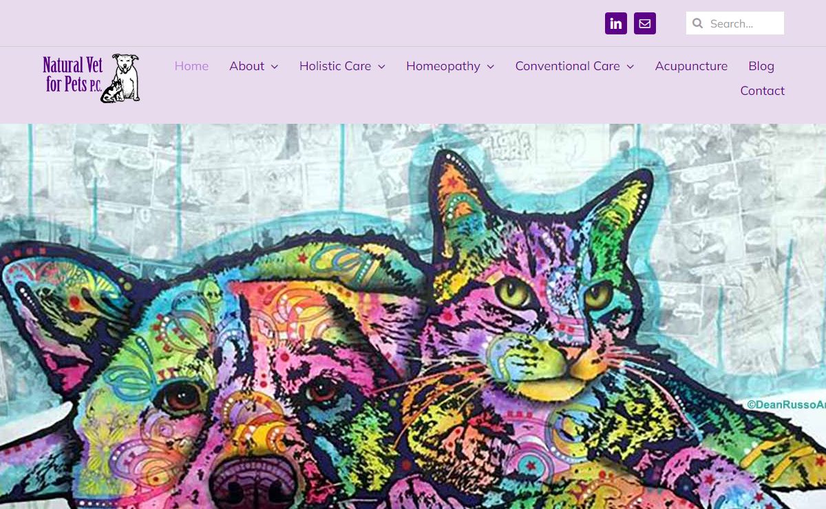 Holistic Vet, Homeopathic Vet, Acupuncturist | Natural Vet for Pets