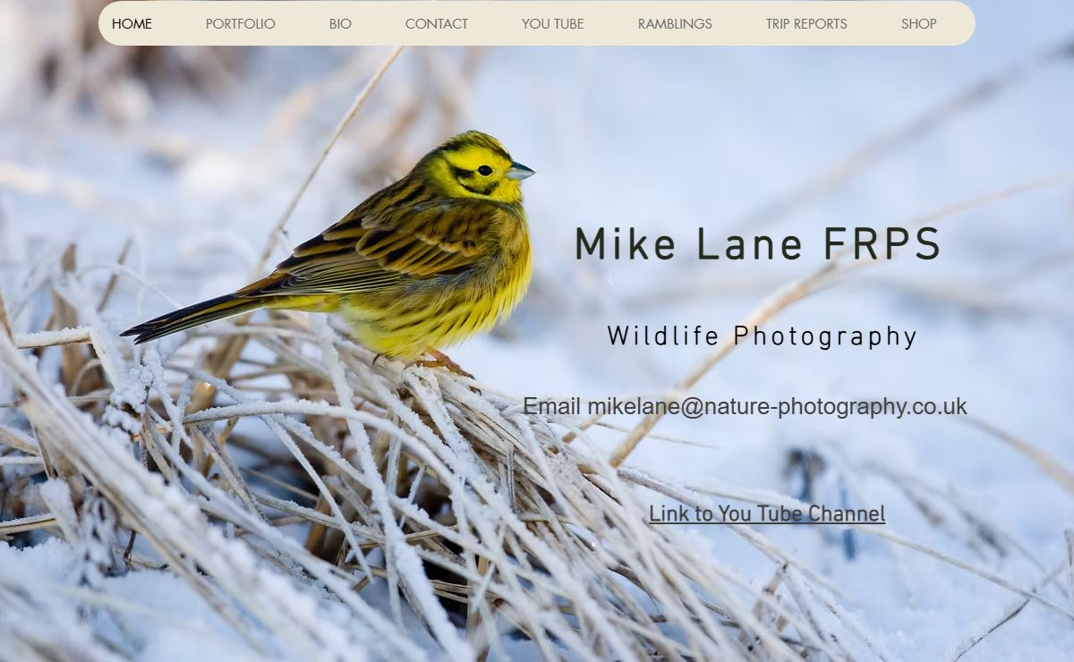 Mike Lane | Mike Lane wildlife photography