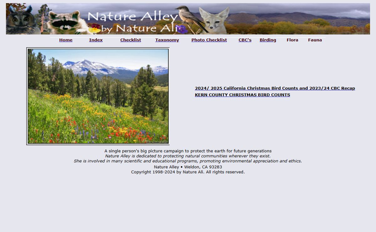 Nature Alley by Nature Ali
