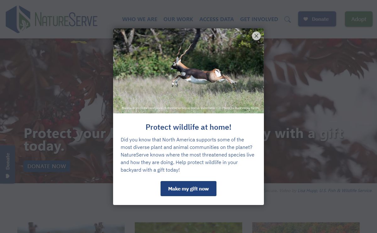 NatureServe | Unlocking the Power of Science to Guide Biodiversity Conservation
