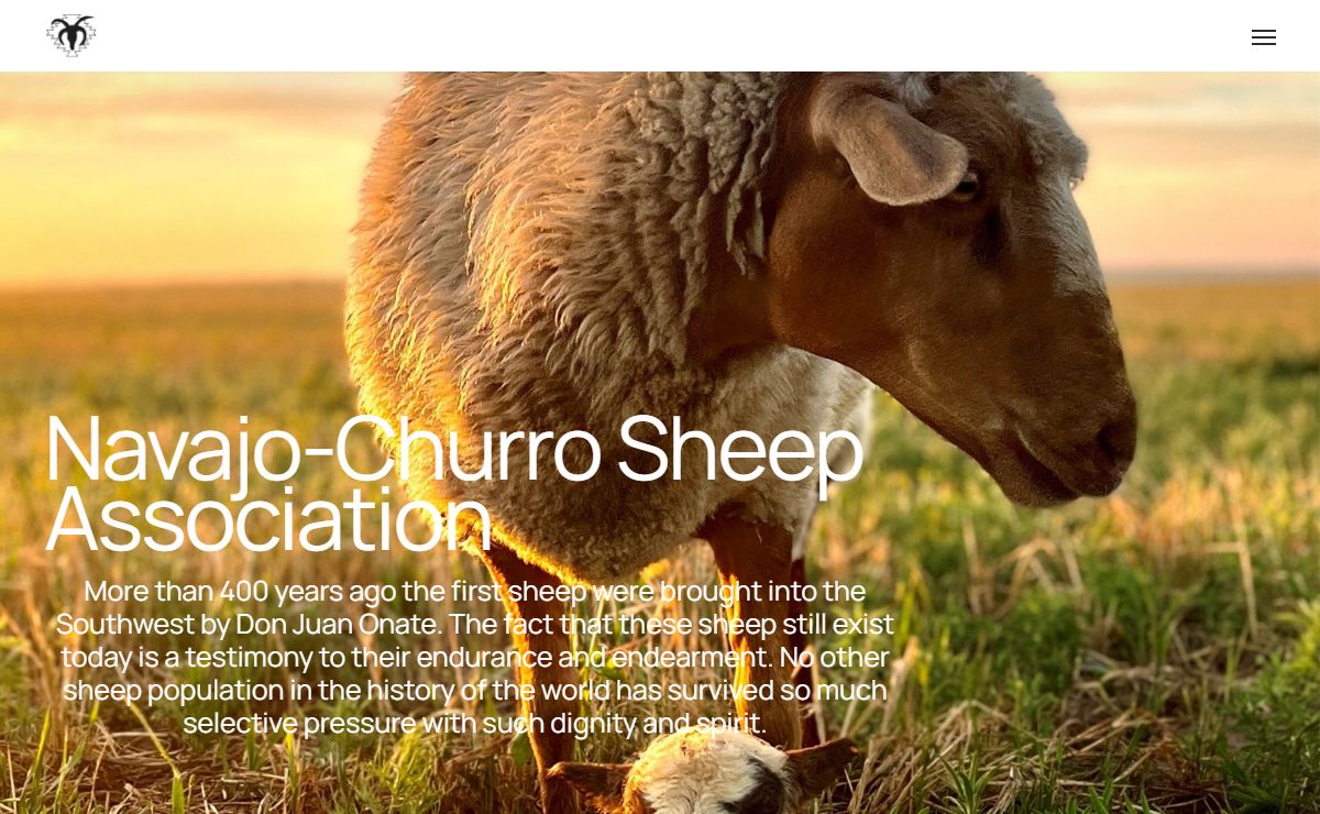 Navajo-Churro Sheep Association - Navajo-Churro - America's First Sheep