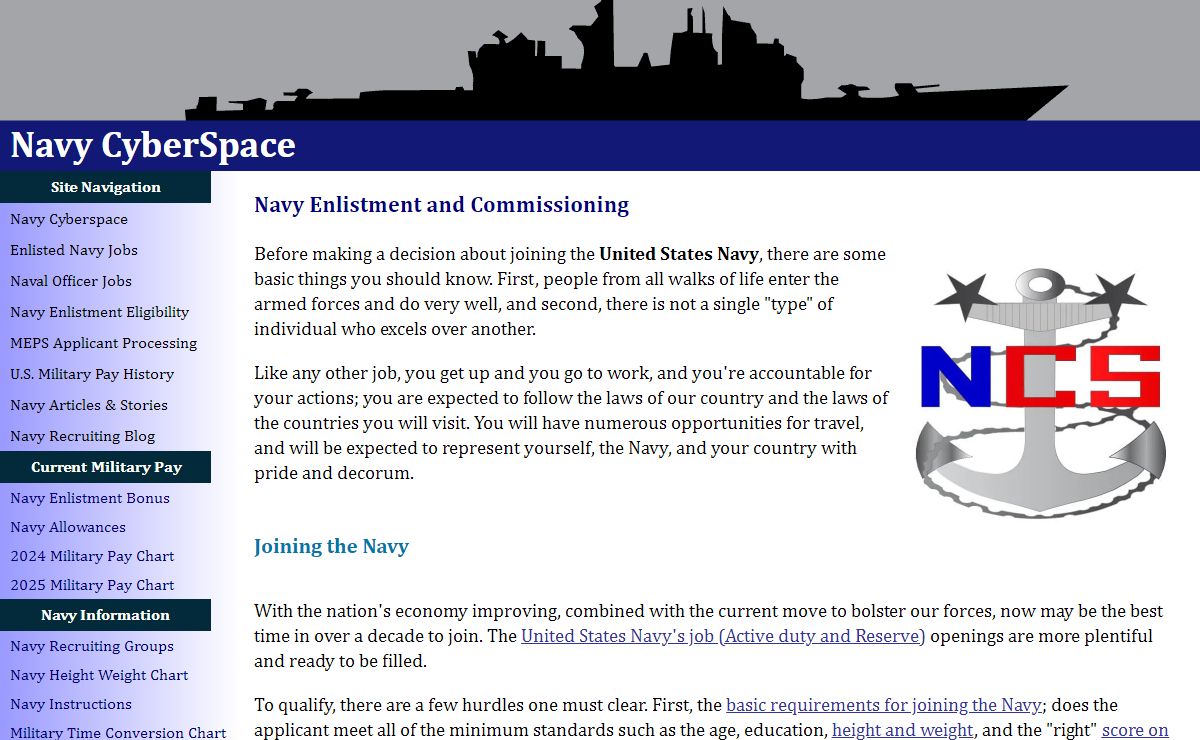 Navy Cyberspace
