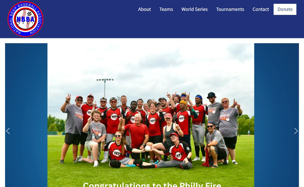 Home - National Beep Baseball Association