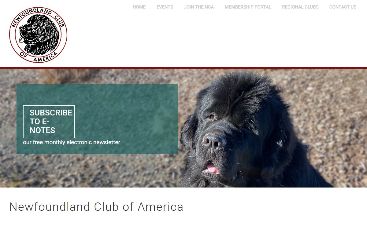 Official site of the Newfoundland Club of America.