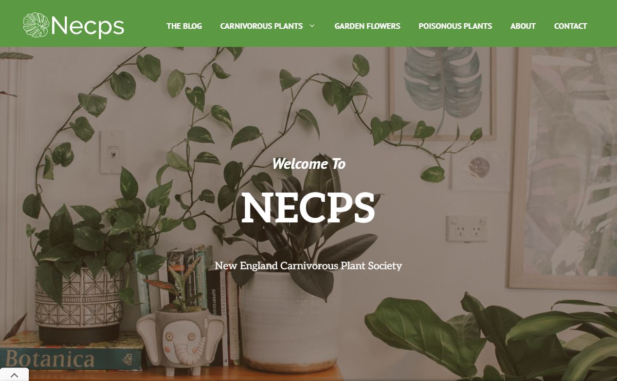 Necps – Plants Society