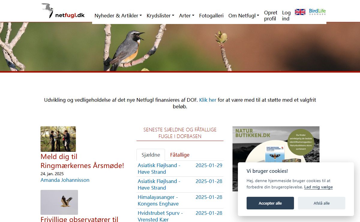 Netfugl.dk - om fugle og feltornitologi i Danmark og WP
