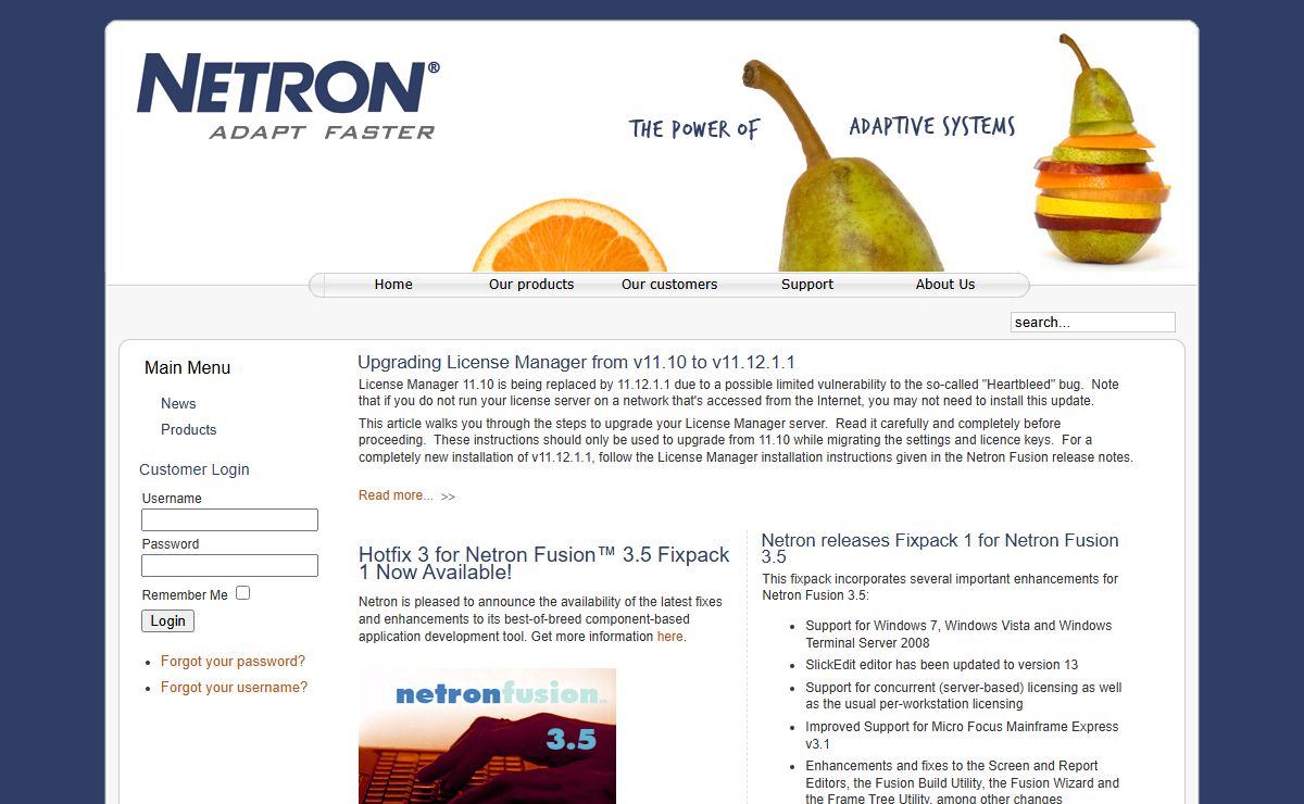 Welcome to Netron Inc.