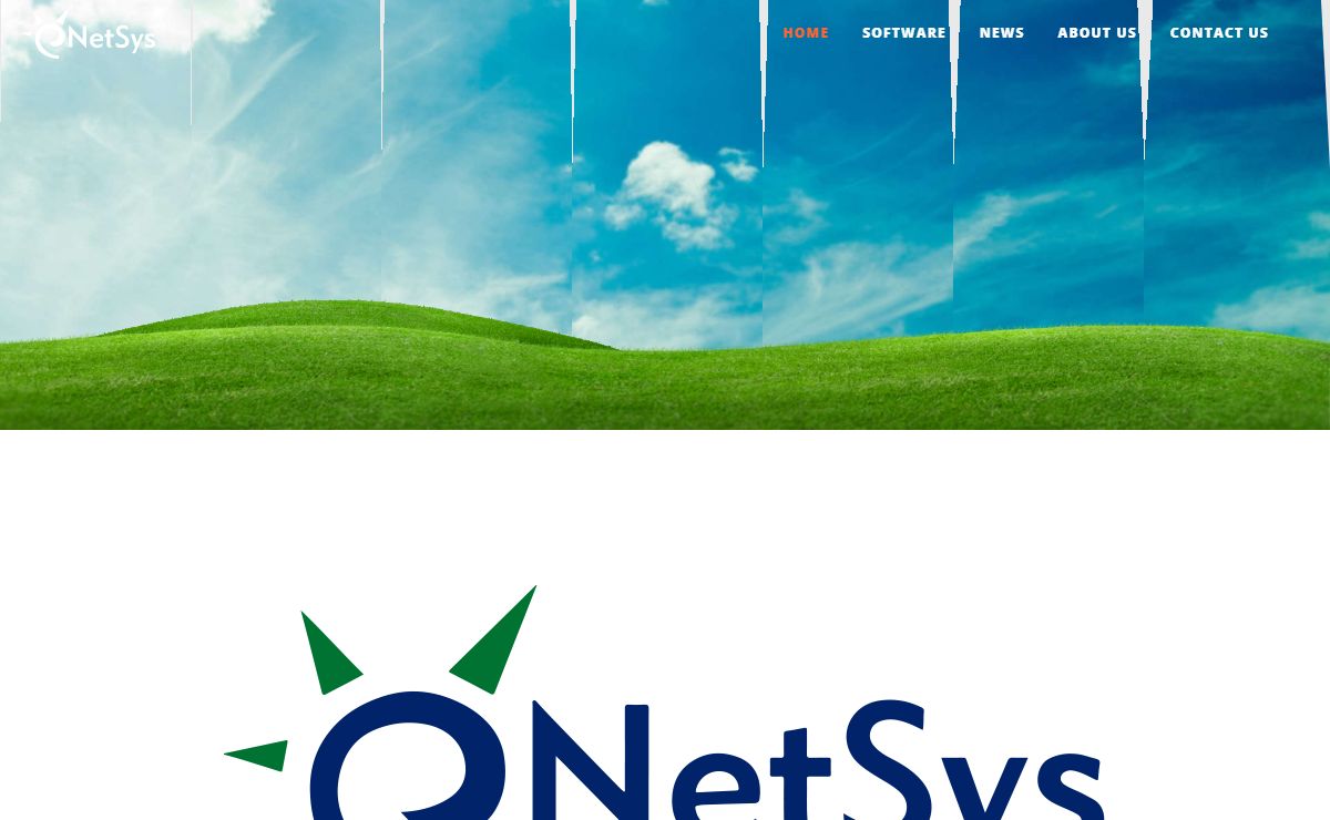 Netsys Home - Netsys International