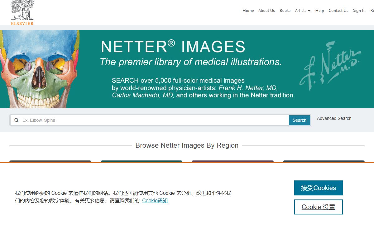 Welcome To Netter Images