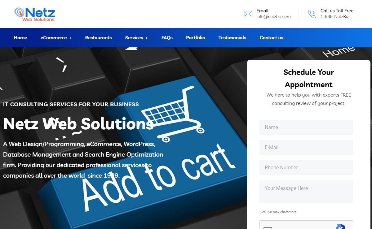 Home | Netz Web Solutions LLC