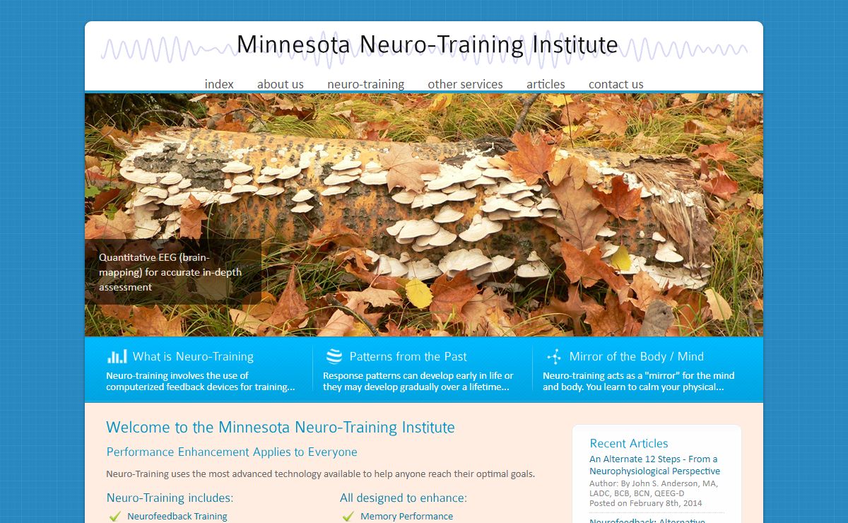 Minnesota Neuro-Training Institute