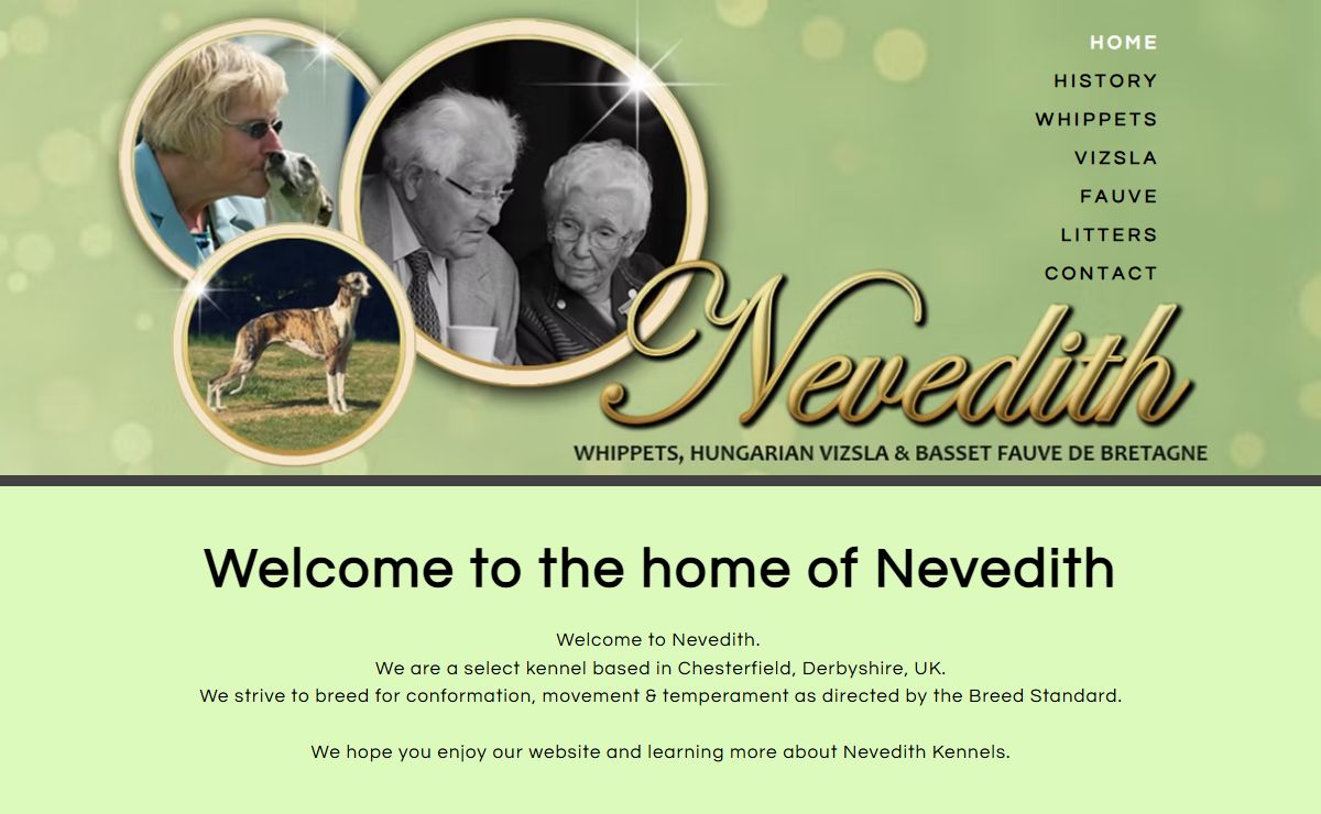 Whippets | Nevedith | Chesterfield