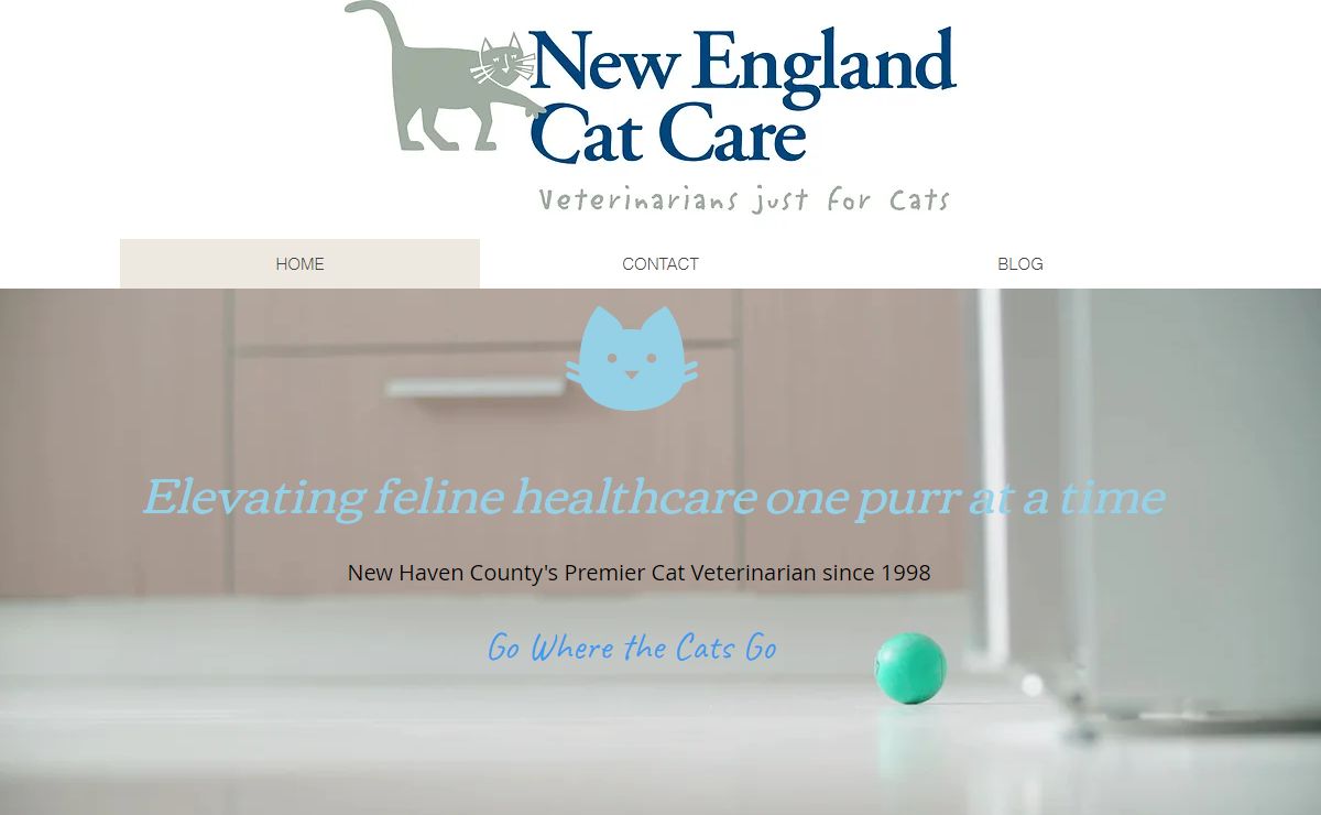 Cat Specialist | New England Cat Care | United States