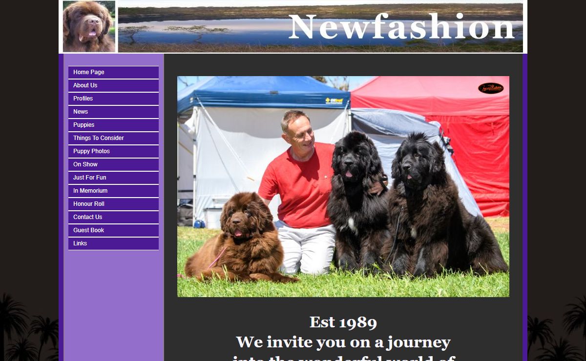 Welcome to NEWFASHION Newfoundlands