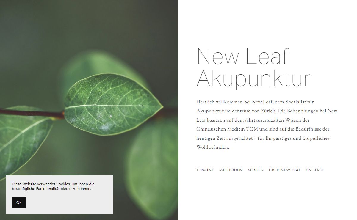 New Leaf Akupunktur Zürich