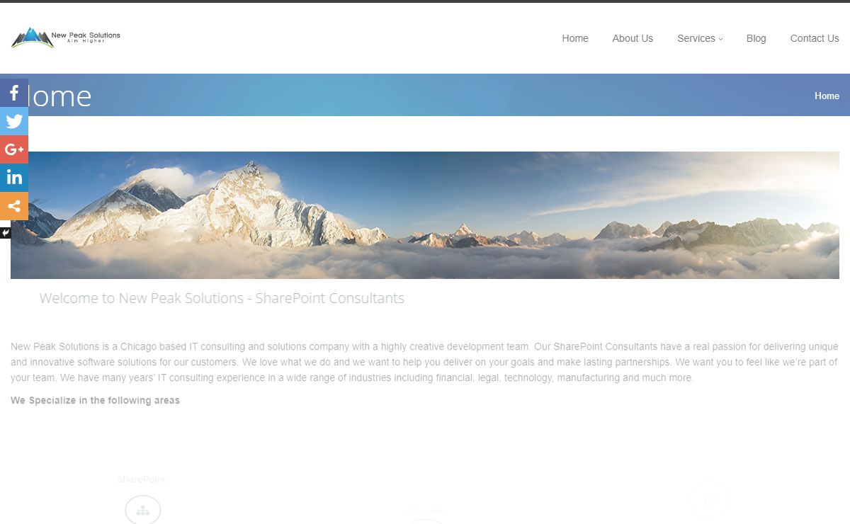 IT Consulting - New Peak Solutions