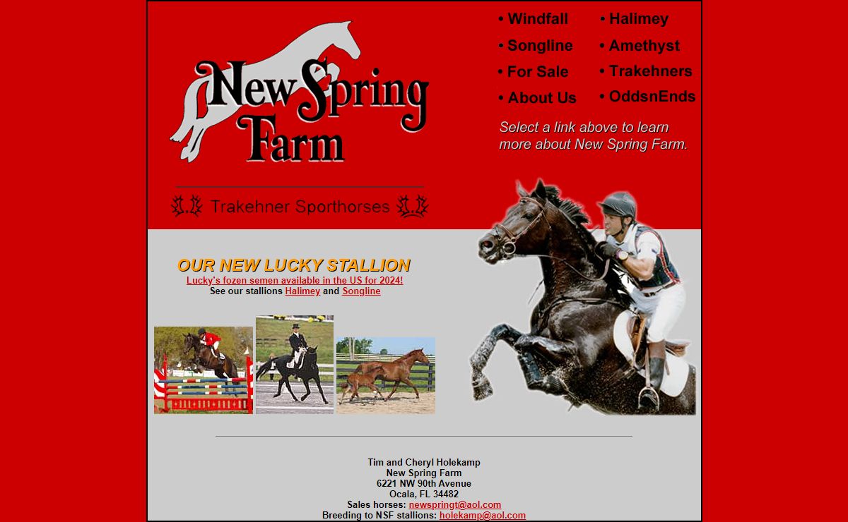 New Spring Farm Trakehner Horses