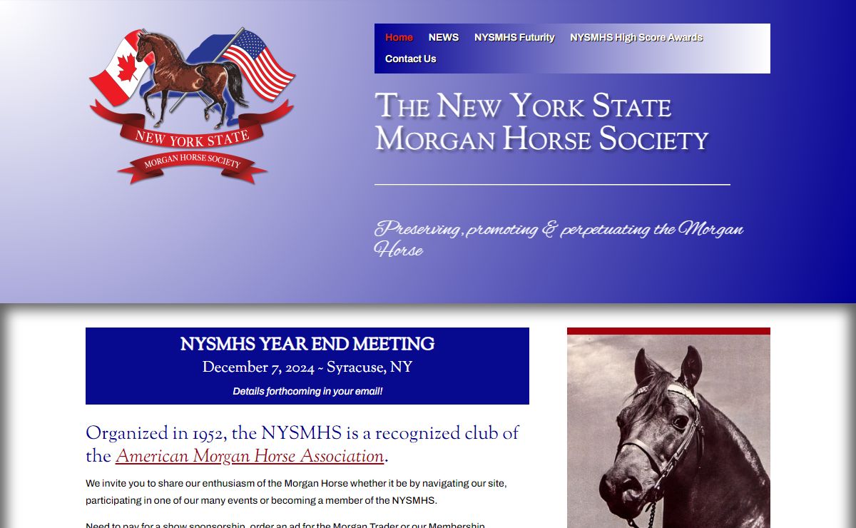 New York State Morgan Horse Society | Preserving & Promoting America's First Breed