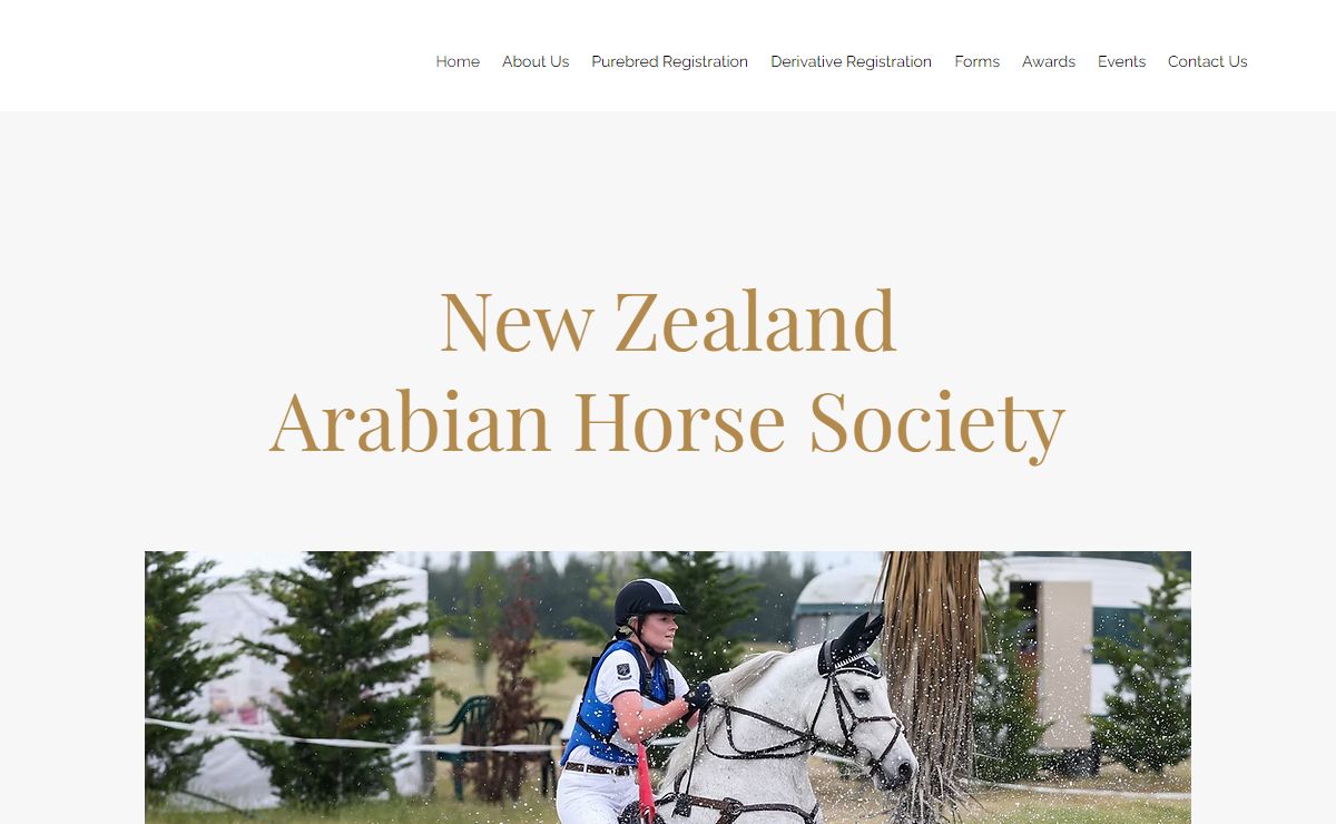 Home | New Zealand Arabian Horse Society