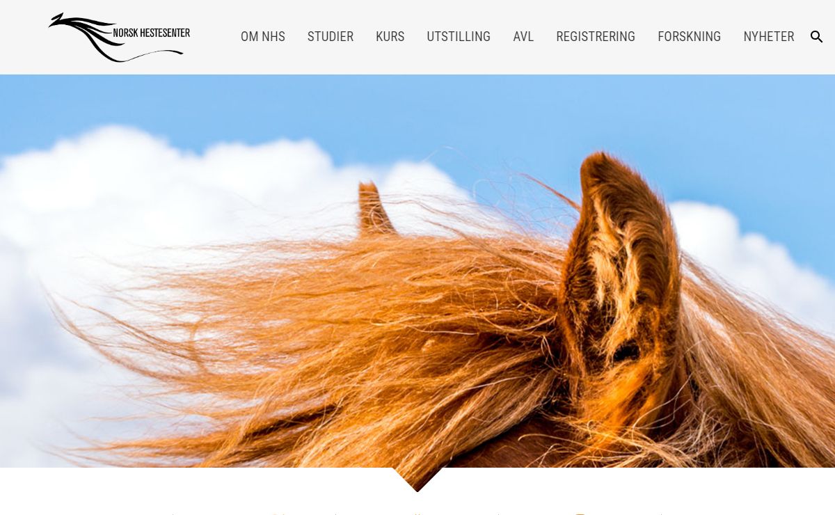 Norsk Hestesenter - fagskole, kurs, avl, utstilling, hesteregistrering