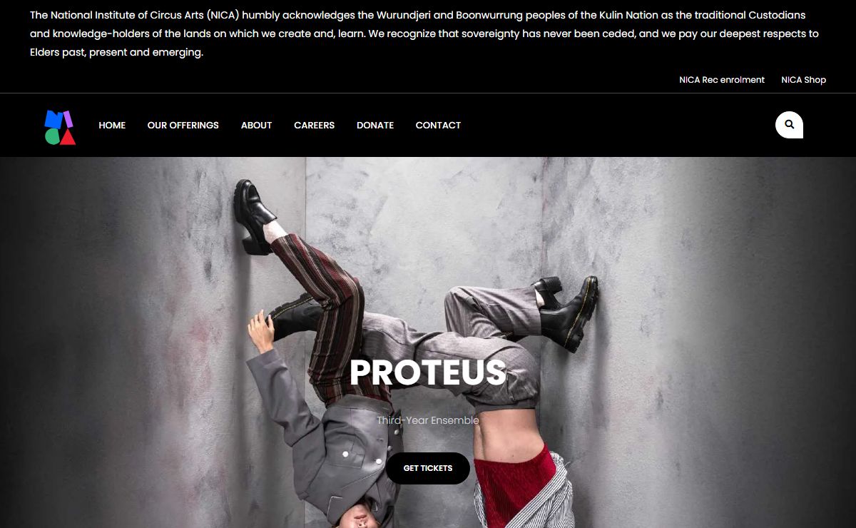 Become Qualified Professional Circus Artist | NICA