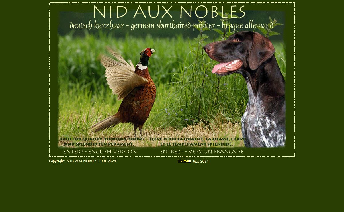 Nid Aux Nobles, German shorthaired pointer,deutsch kurzhaar, braque allemand, brac german, braco aleman, puppies german pointer, puppies available, puppies deutsch kurzhaar, champion dog puppies