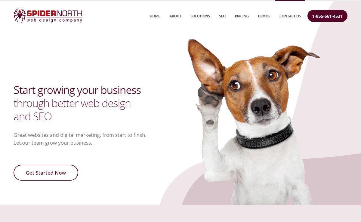 Spider North Web Design Company