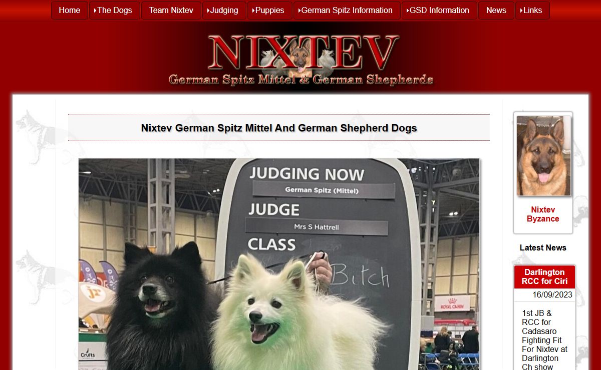 Nixtev German Spitz Mittel & German Shepherd Dogs - UK breeder of quality german spitz mittel puppies from health tested parents. - Nixtev German Spitz Mittel and German Shepherd Dogs