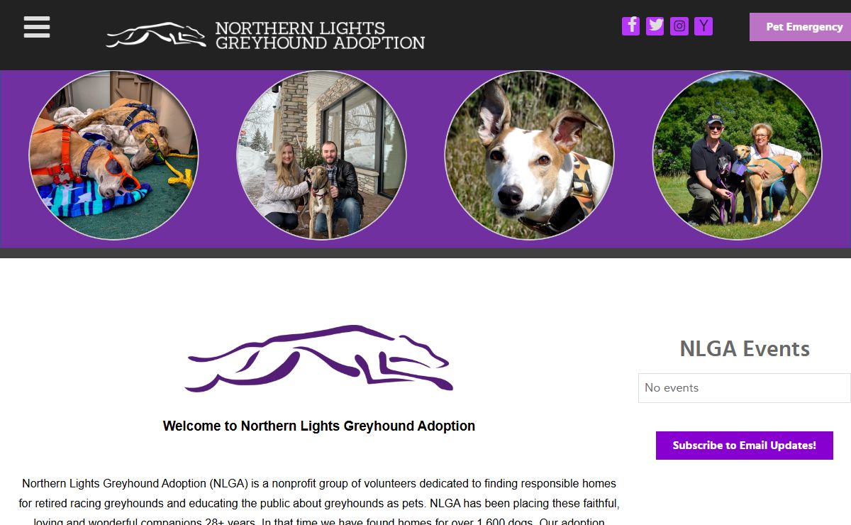 Northern Lights Greyhound Adoption | Minnesota Dog Adoption