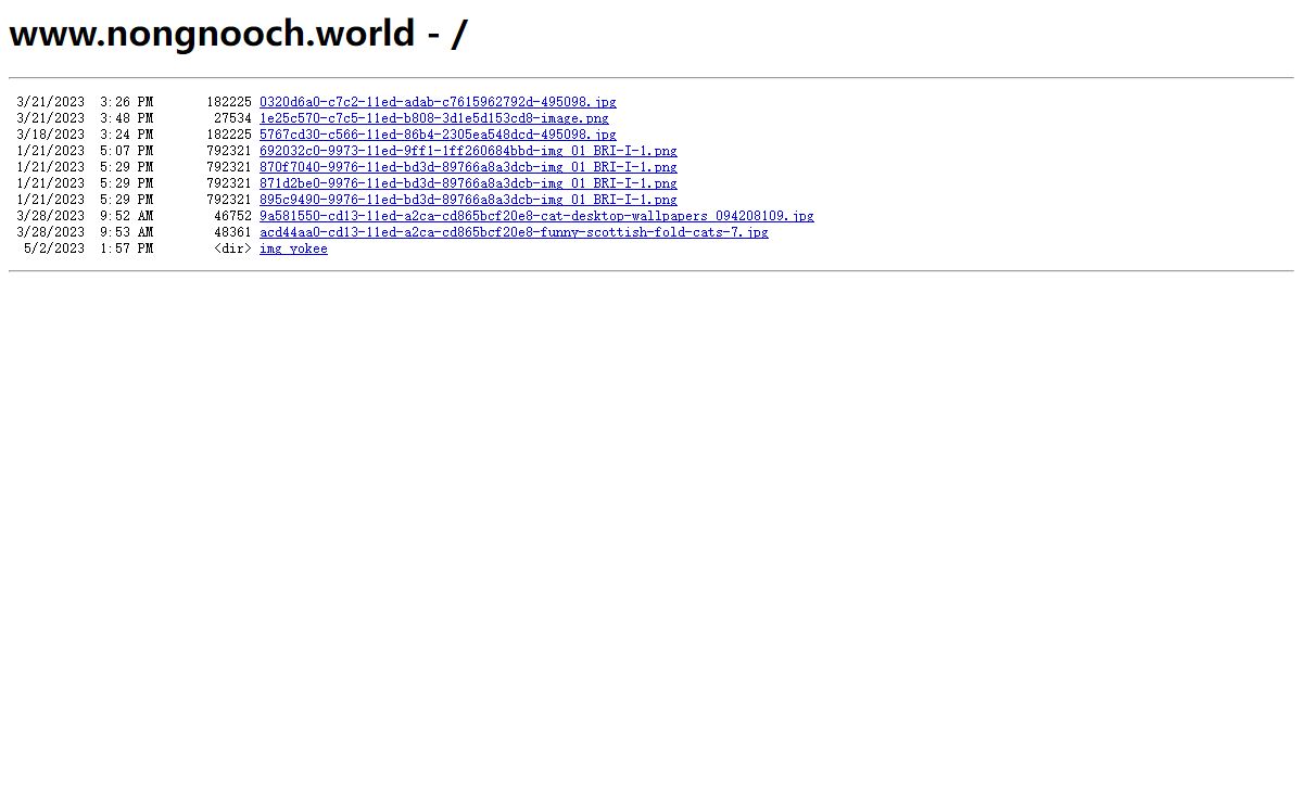 www.nongnooch.world - /