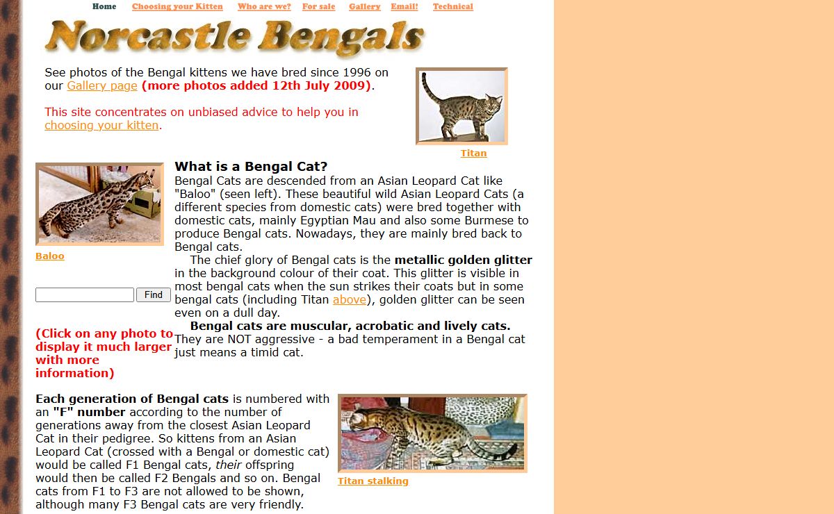 Norcastle Bengals Home page - formerly Breeders of Bengal Cats in the UK