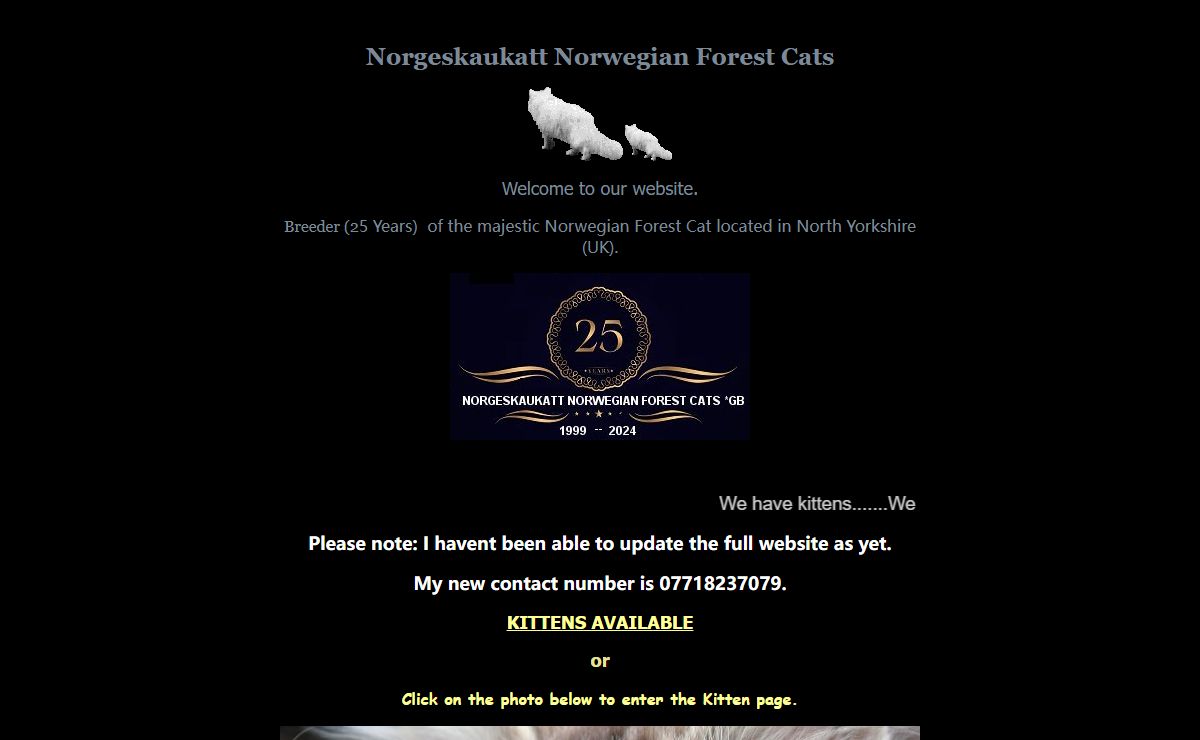 Norwegian Forest Cat kittens For Sale , Norgeskaukatt Norwegian Forest Cats UK