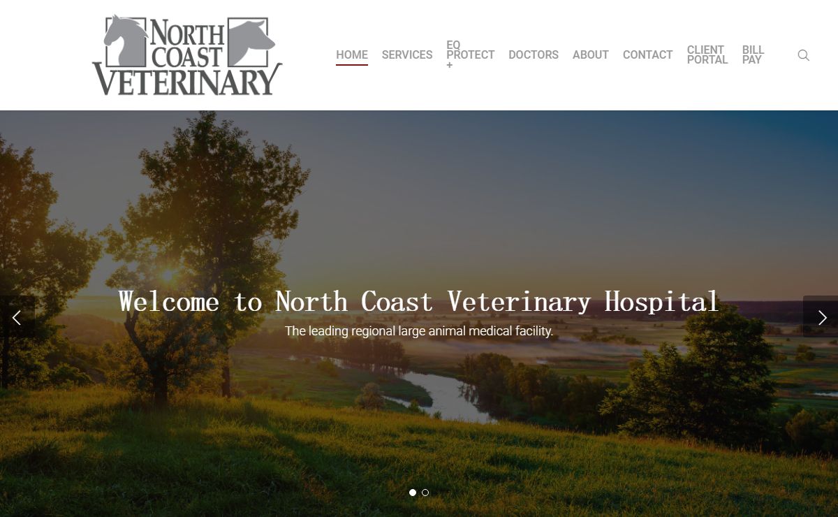 NCVH – North Coast Vet – Committed to Excellence in Equine Veterinary Health