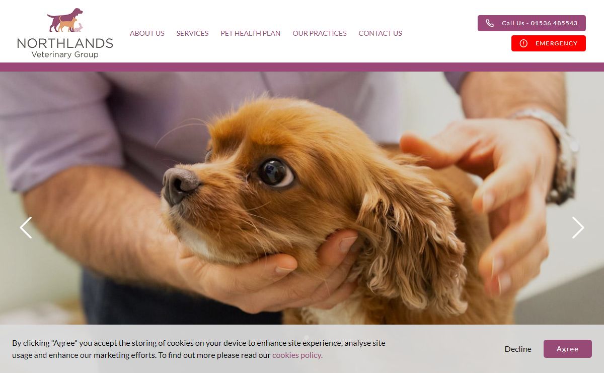 Northlands Vets | High-Quality Pet Care in Northamptonshire