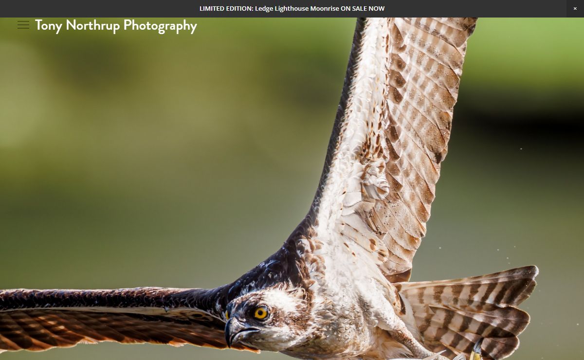 Tony Northrup Photography