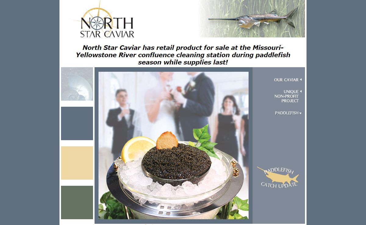 North Star Caviar : Homepage