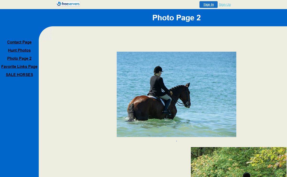 Photo Page 2