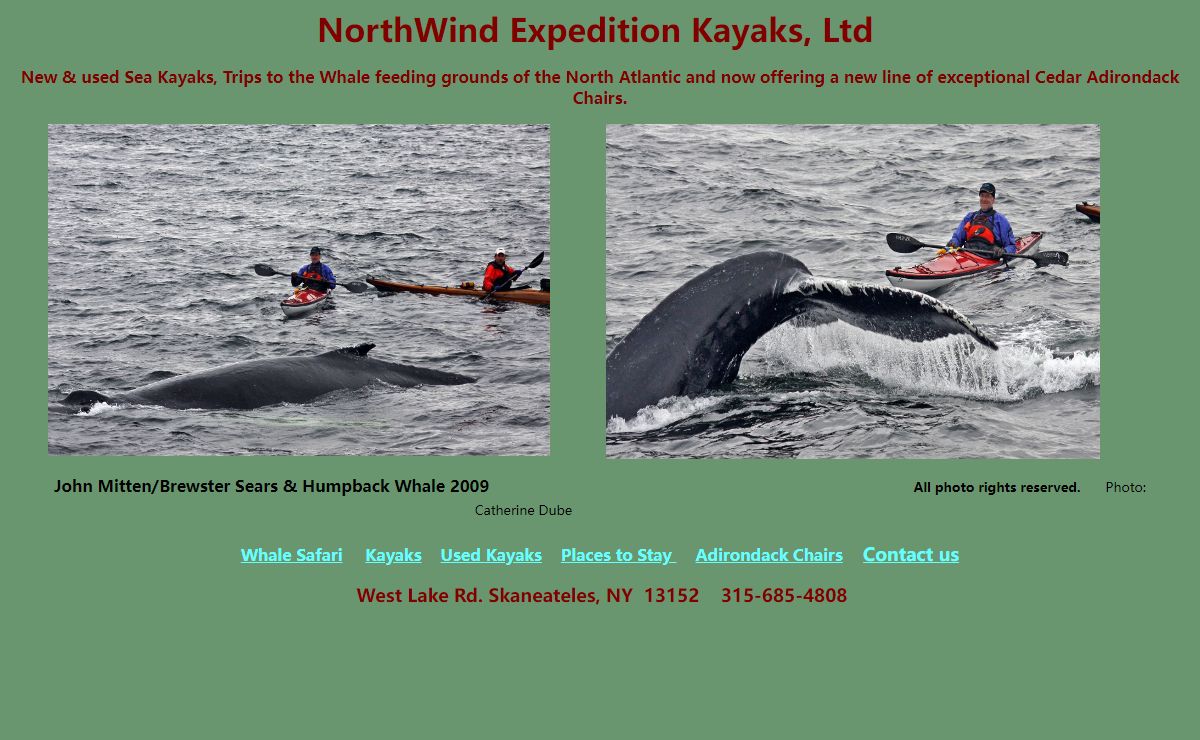 whale kayak