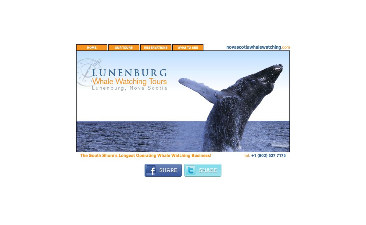 Nova Scotia Whale Watching - Lunenburg