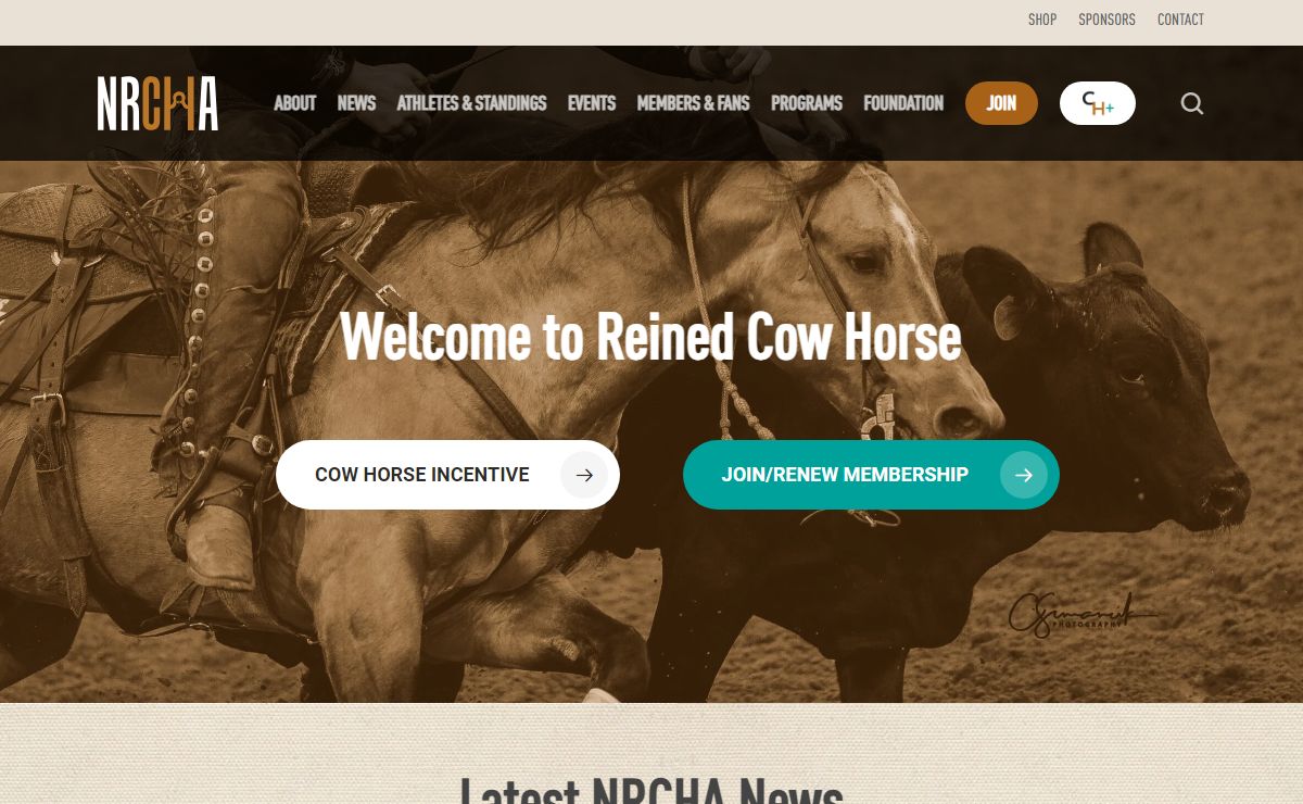 Home - National Reined Cow Horse Association