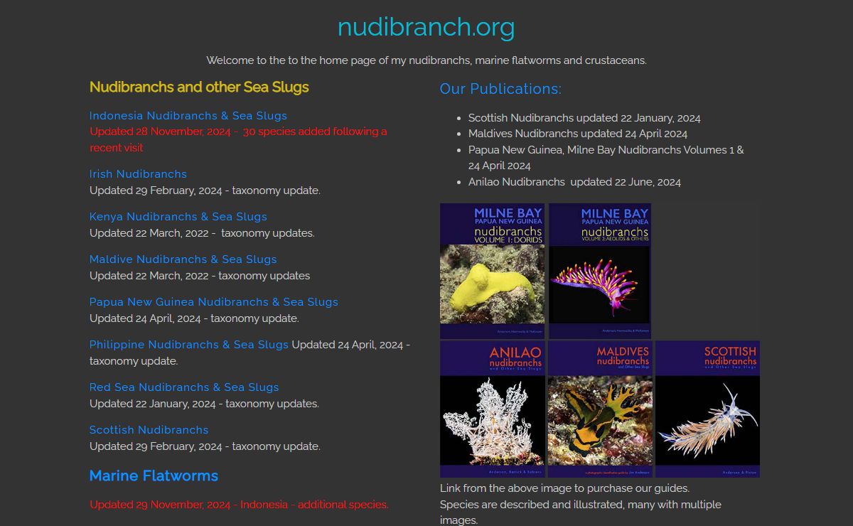 nudibranch.org