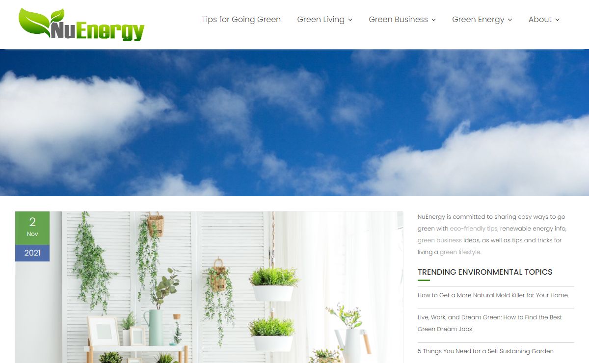 The Latest in Green Living and Sustainable Energy | NuEnergy