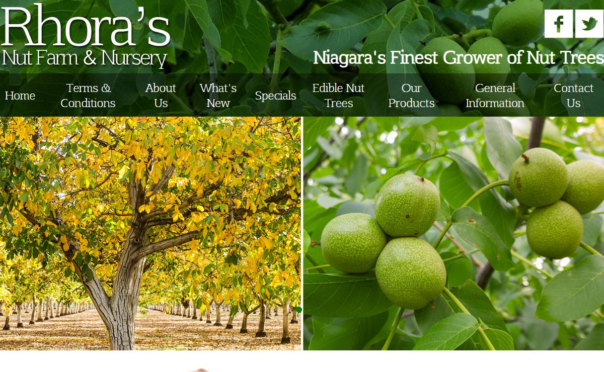 Welcome | Rhora's Nut Farm