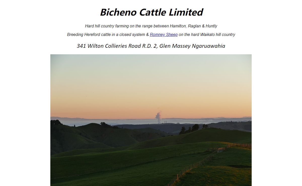 Bicheno Sheep & Beef