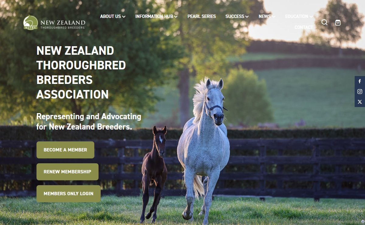 For everything thoroughbred breeding related. | New Zealand Thoroughbred Breeders' Association