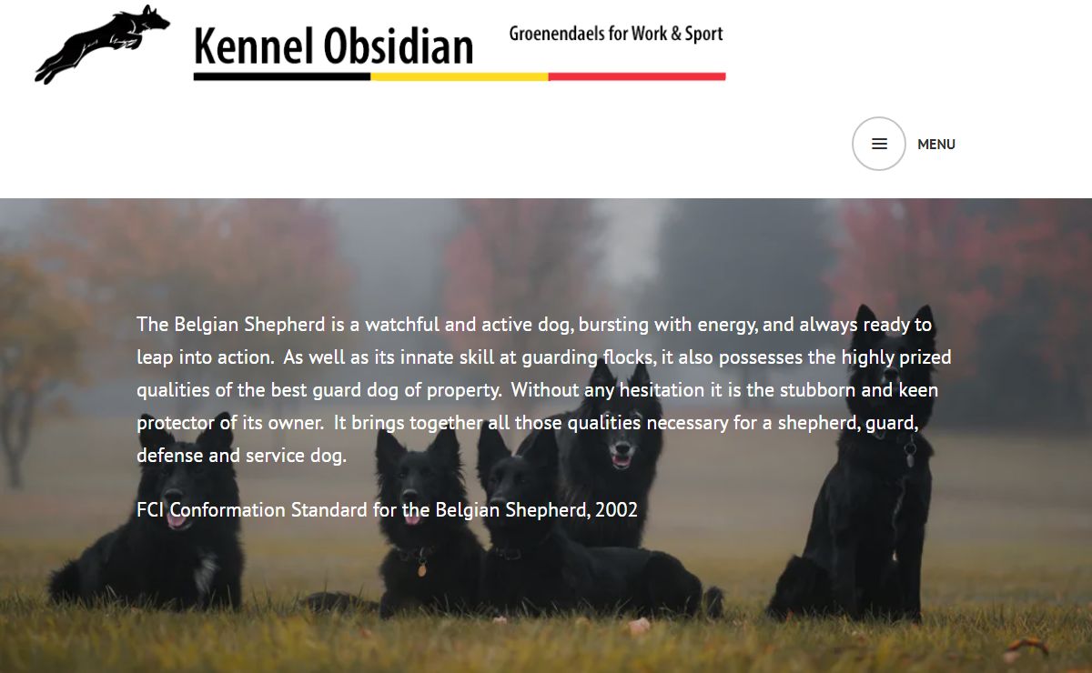 Kennel Obsidian – Groenendaels for Work and Sport