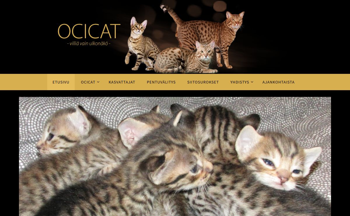 Ocicat ry