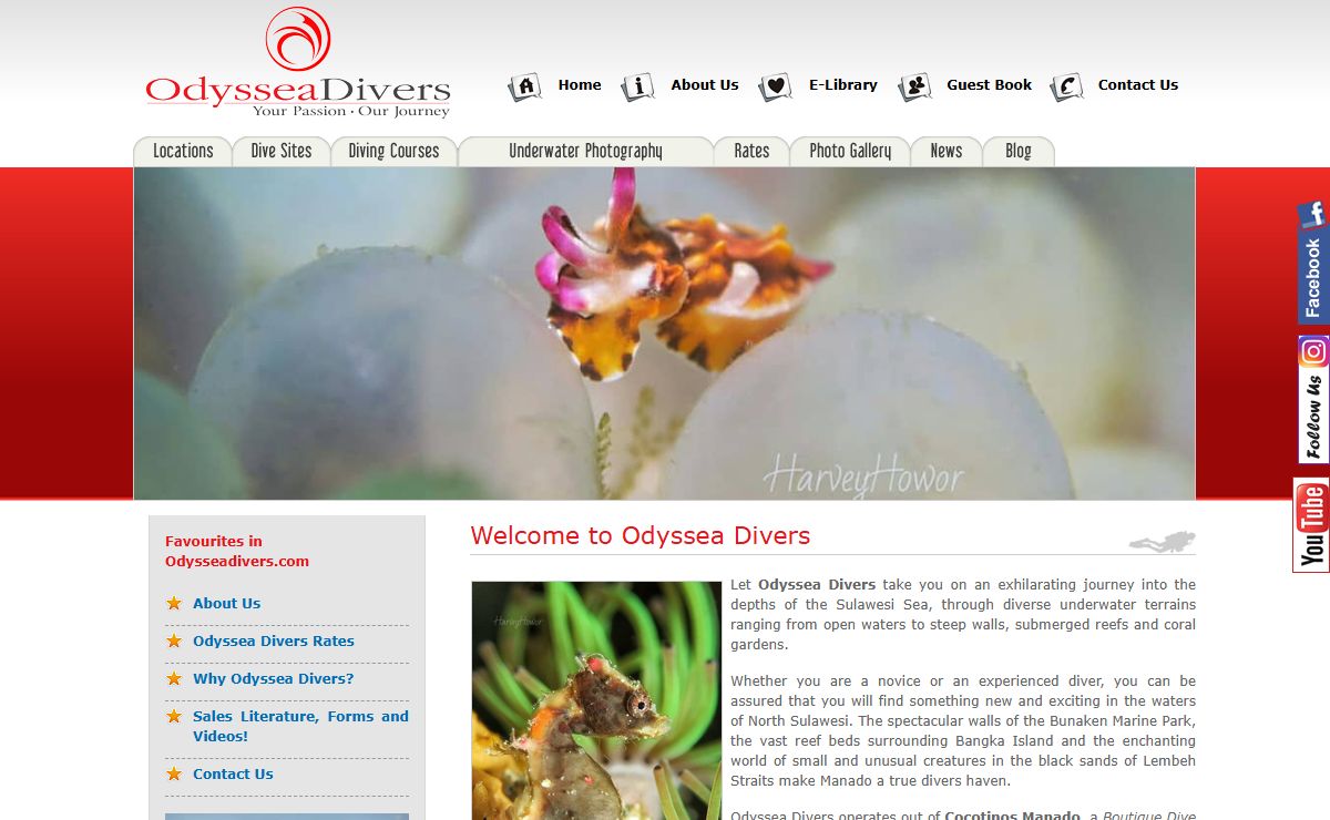 Odyssea Divers - Manado North Sulawesi & Sekotong Lombok - Indonesia